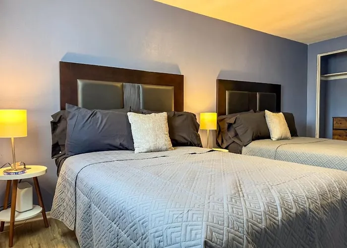 4 Large With 8 Bedrooms And Parking Wifi